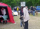 Picasa  Es übt sich wer ein Meister werden will ;-) Atreju juni 2012